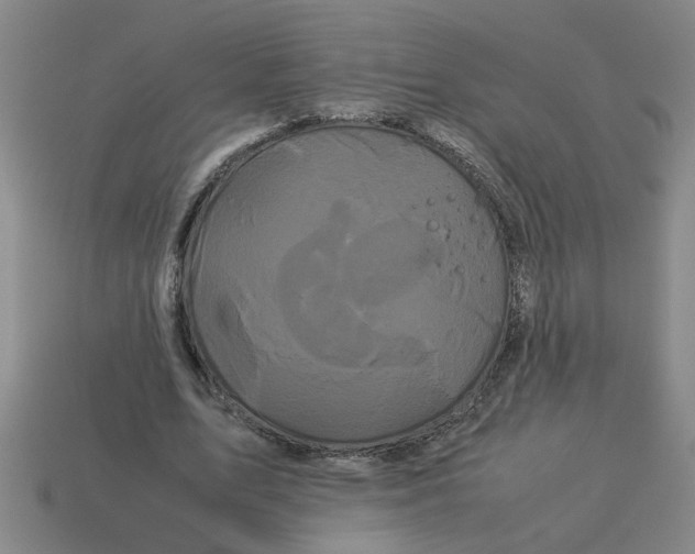 X0000114190583200911061405