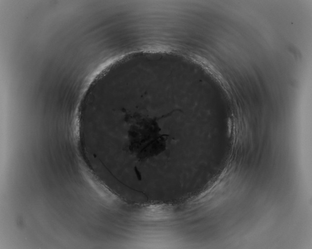 X0000114190584200911061405