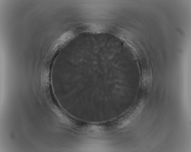 X0000114190585200911061405