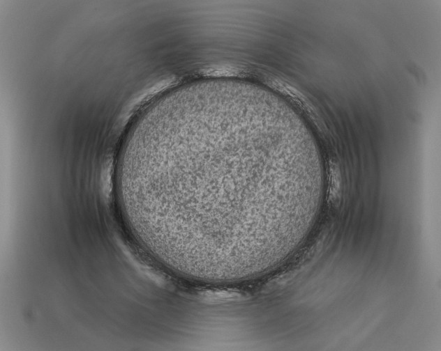 X0000114190586200911061405