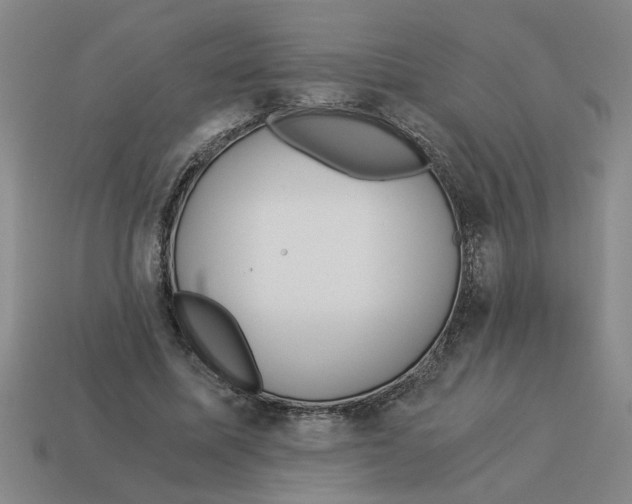 X0000114190587200911061405