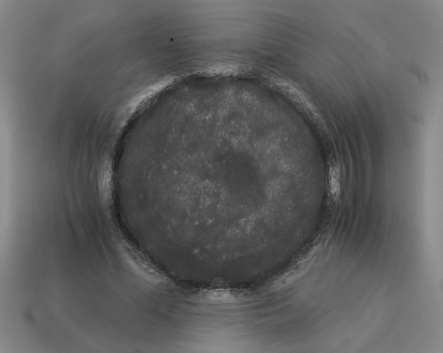 X0000114190588200911061405