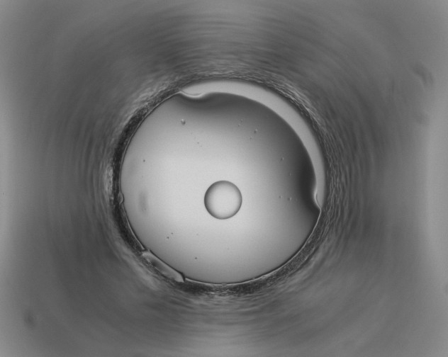 X0000114190589200911061405