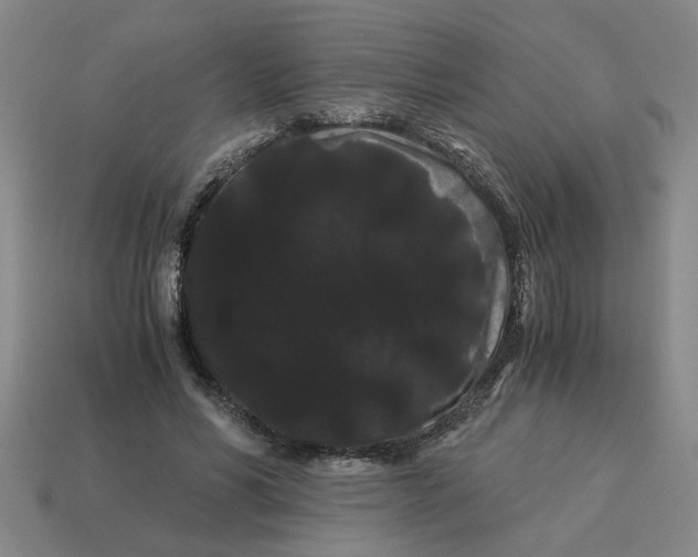 X0000114190590200911061405