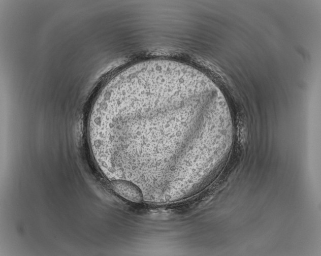 X0000114190591200911061405