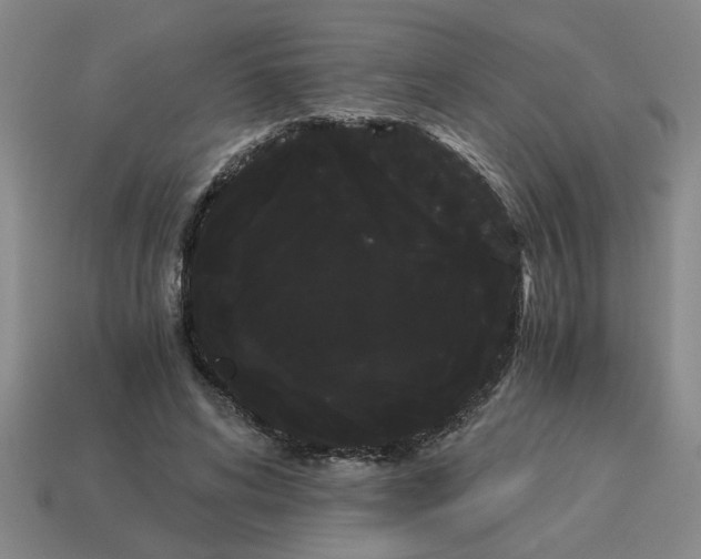 X0000114190592200911061405