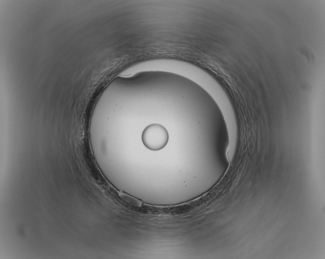 X0000114190593200911061405