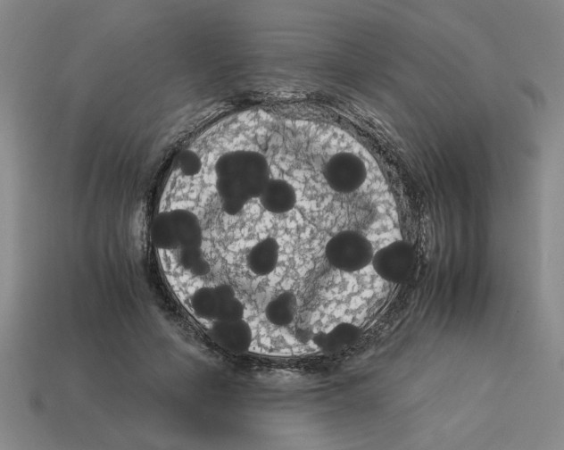 X0000114190594200911061405