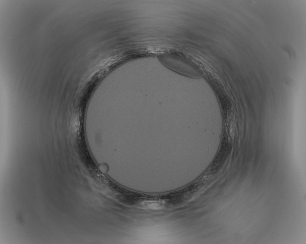 X0000114190595200911061405