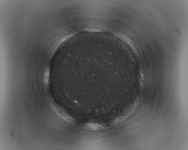 X0000114190596200911061405