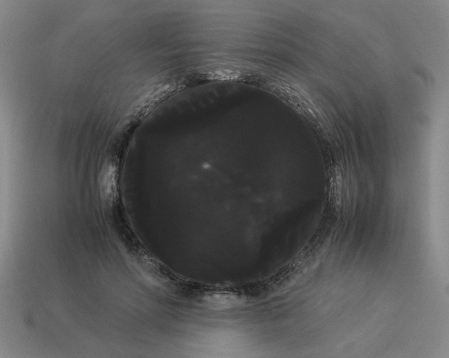 X0000114190598200911061405