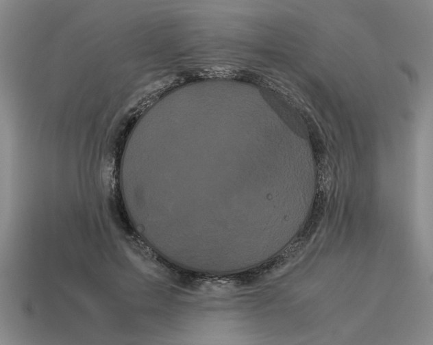 X0000114190599200911061405