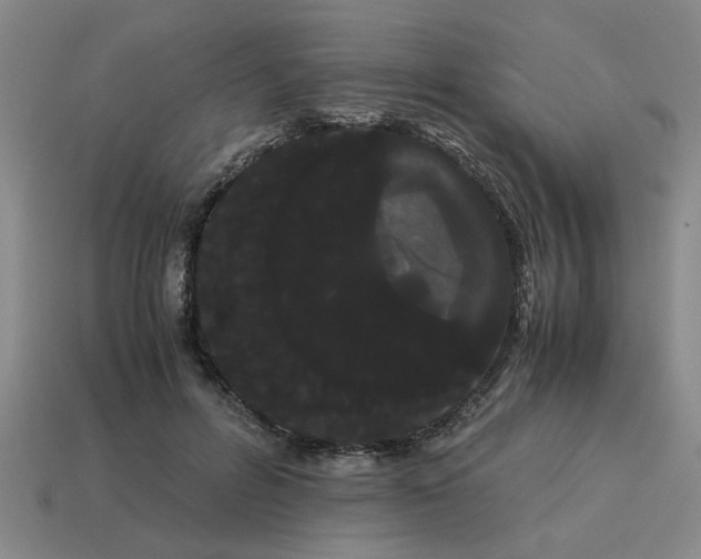 X0000114190600200911061405