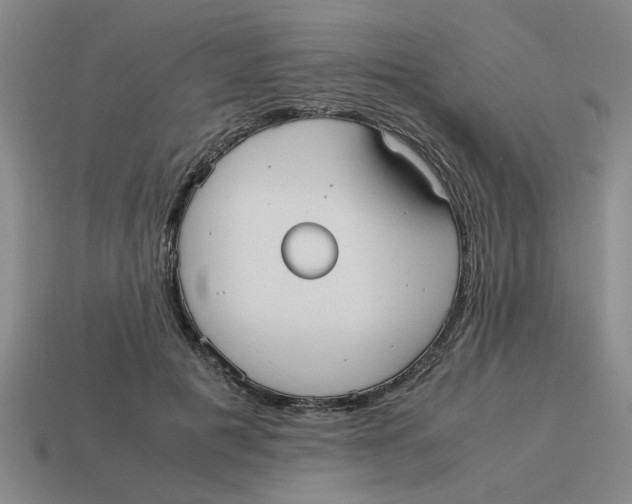 X0000114190601200911061405