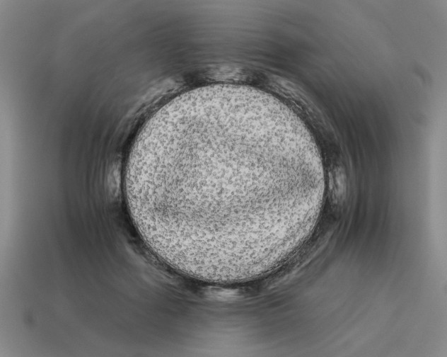 X0000114190602200911061405