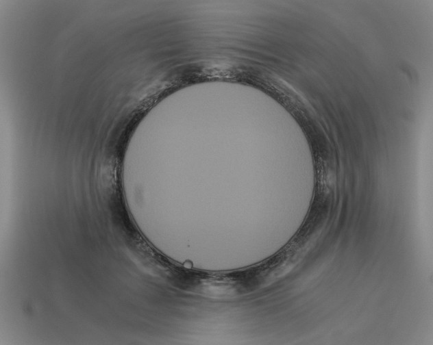 X0000114190603200911061405