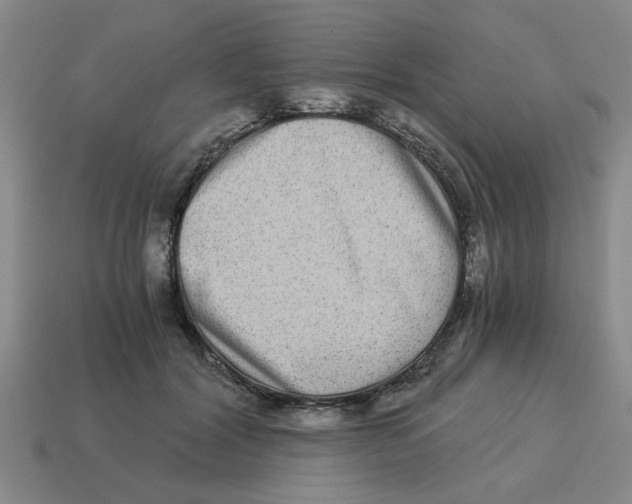 X0000114190604200911061405