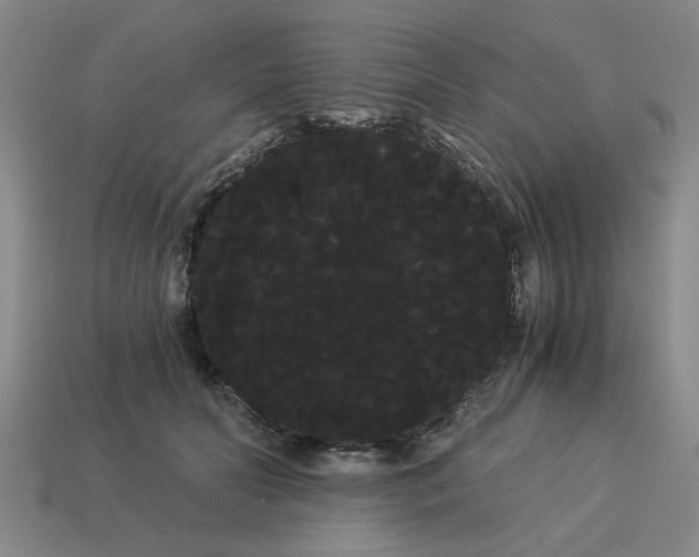 X0000114190606200911061405