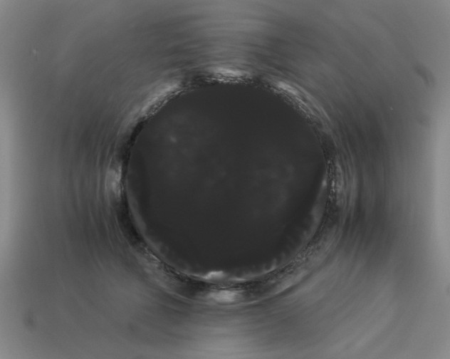 X0000114190610200911061405