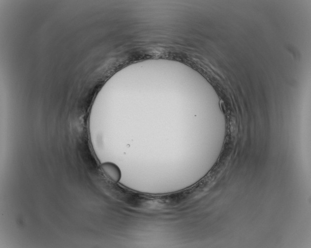 X0000114190611200911061405