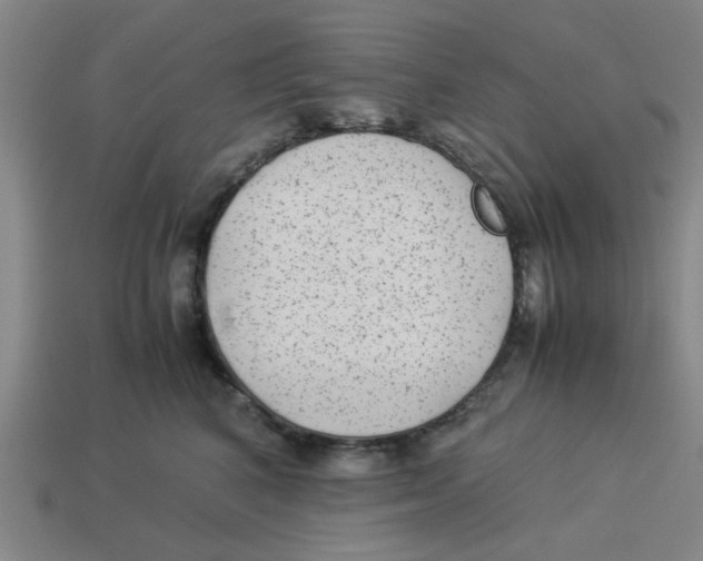 X0000114190616200911061404