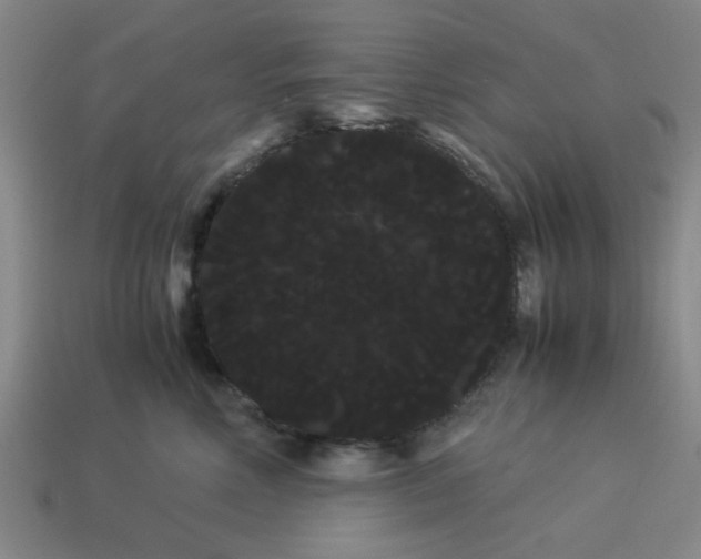 X0000114190618200911061404