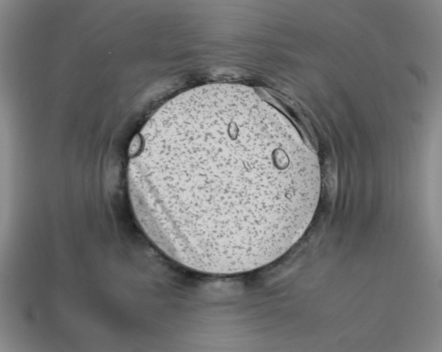 X0000114190619200911061404