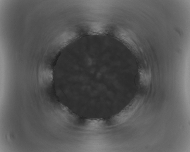 X0000114190621200911061404