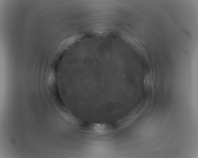 X0000114190623200911061404