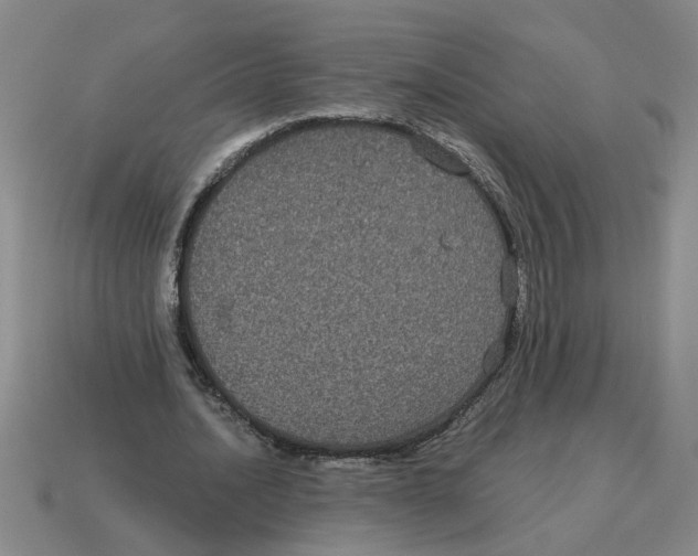 X0000114190628200911061404