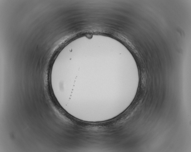 X0000114190629200911061404