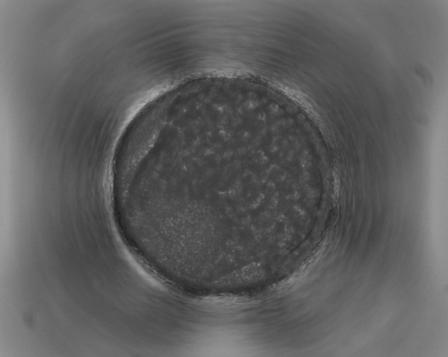 X0000114190630200911061404