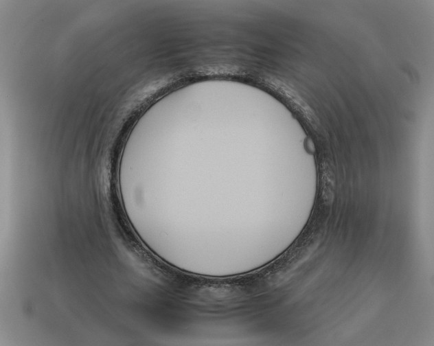 X0000114190631200911061404