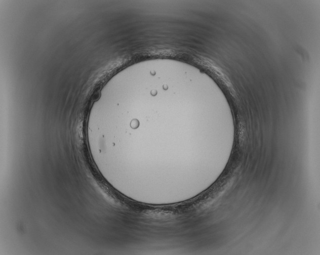 X0000114190633200911061404