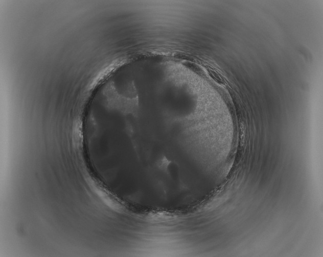 X0000114190634200911061404