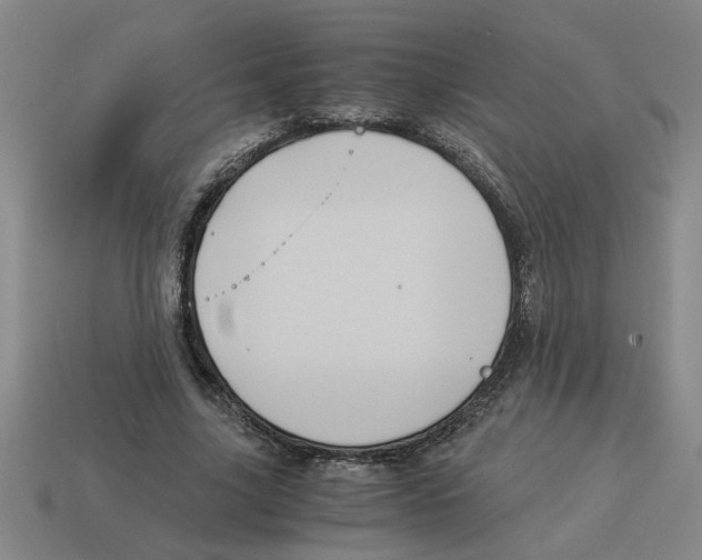 X0000114190635200911061404