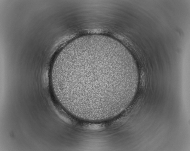 X0000114190638200911061404