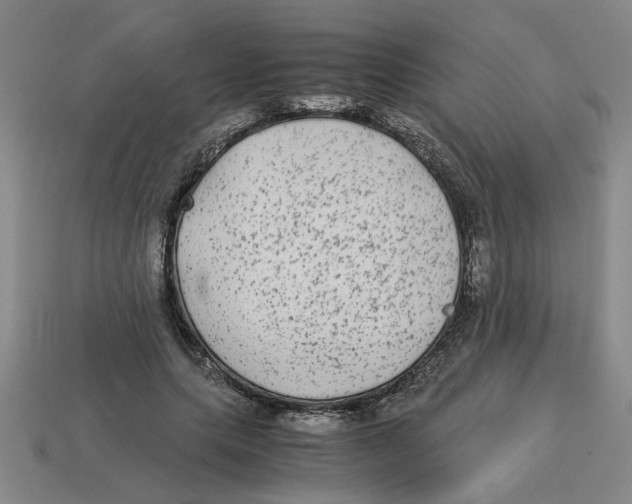 X0000114190639200911061404