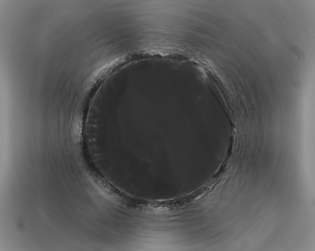 X0000114190640200911061404