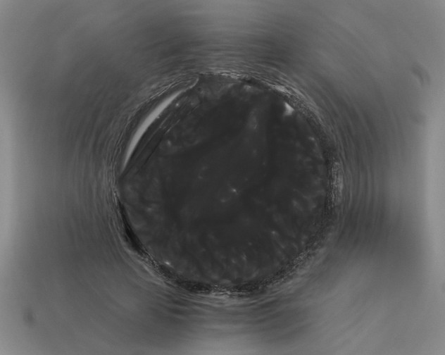 X0000114190641200911061404