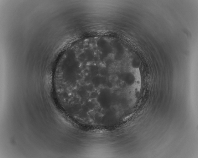 X0000114190642200911061404