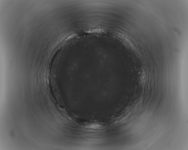 X0000114190643200911061404