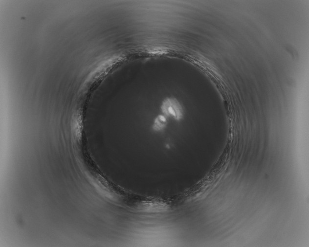 X0000114190644200911061404