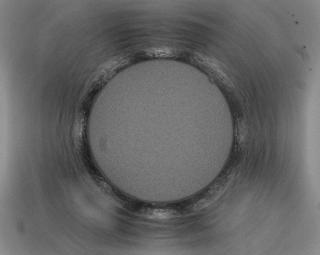 X0000114190645200911061404