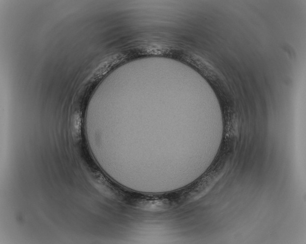 X0000114190646200911061404