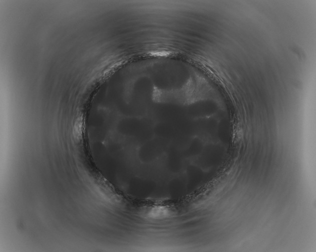 X0000114190647200911061404