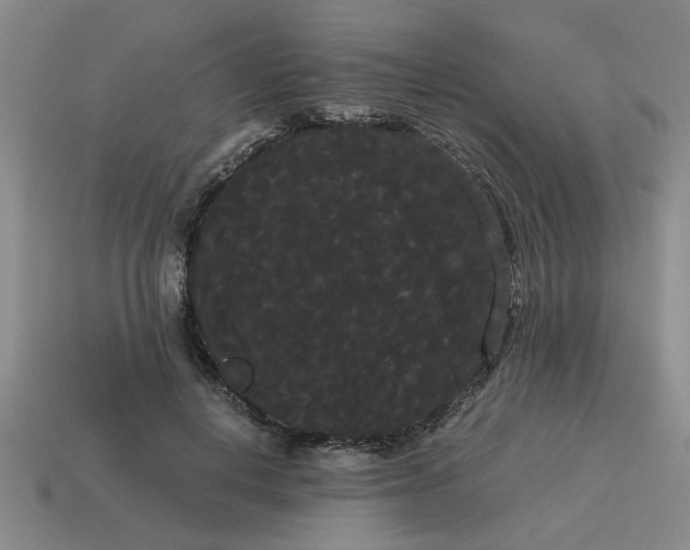 X0000114190648200911061404