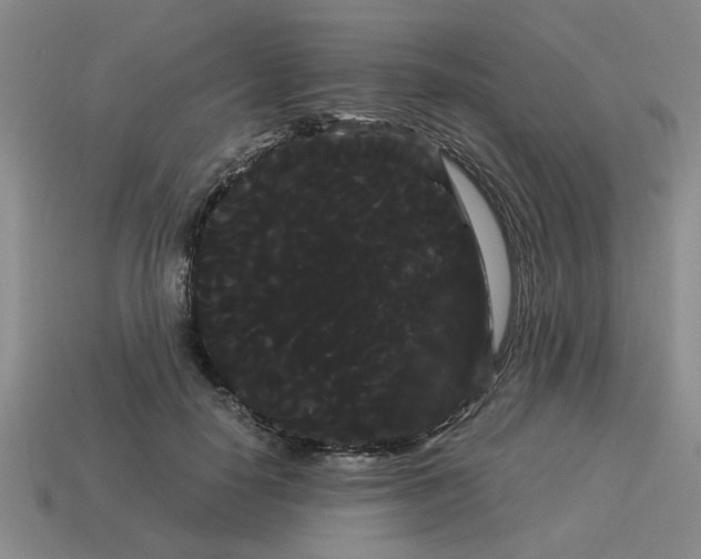 X0000114190650200911061404