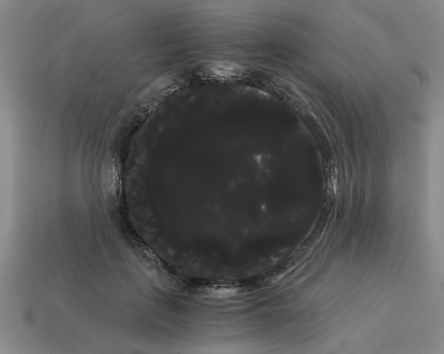 X0000114190651200911061404