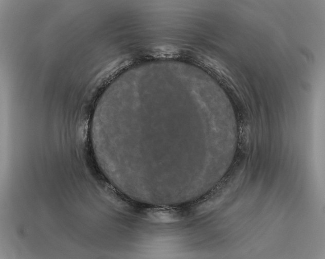 X0000114190652200911061404